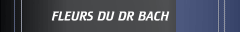 Les fleurs du Dr Bach